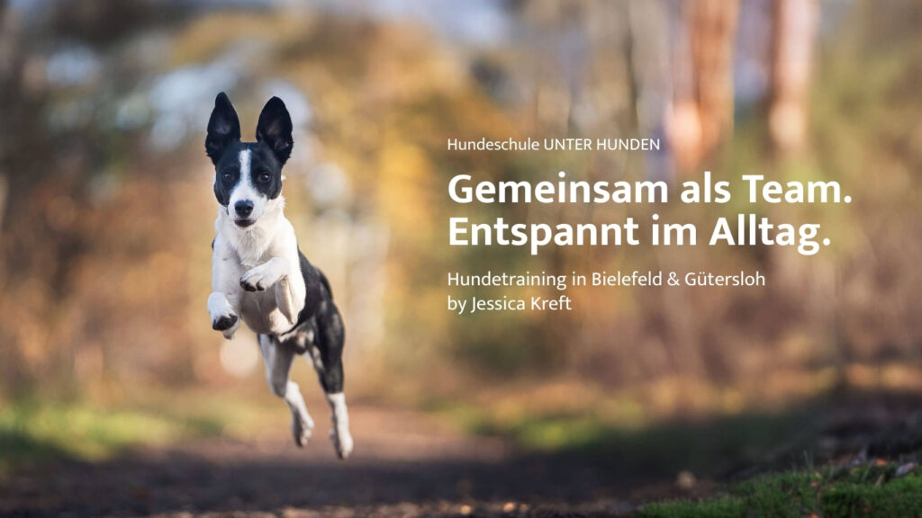 Unter Hunden - Hundeschule für Bielefeld und Gütersloh